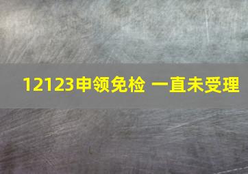 12123申领免检 一直未受理